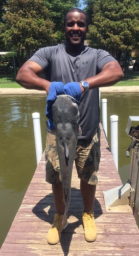 Reeves Large Catfish